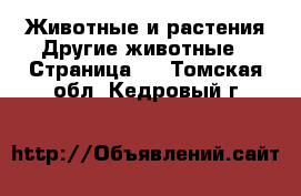 Животные и растения Другие животные - Страница 3 . Томская обл.,Кедровый г.